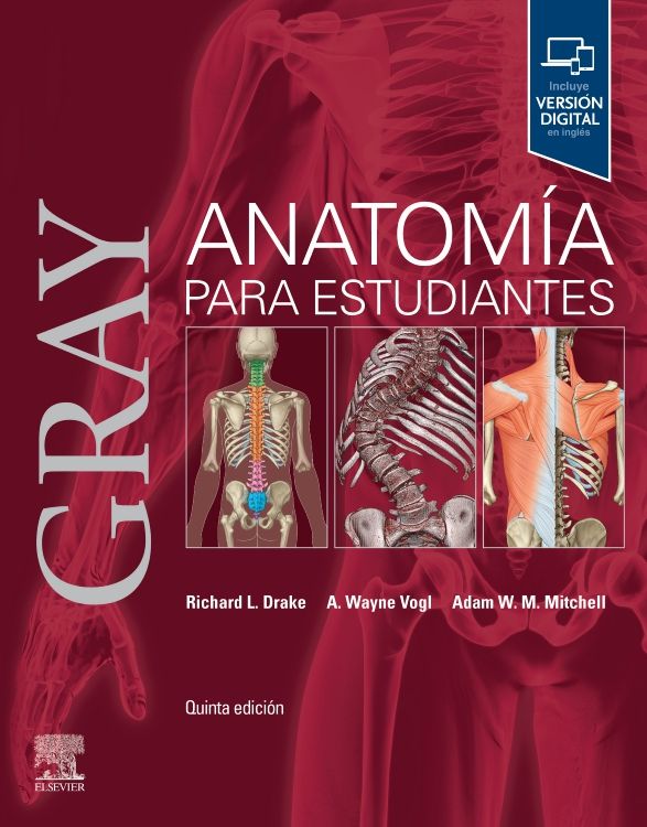 Drake L. Richard. Gray. Anatomía para Estudiantes. 5a ed. 2024
