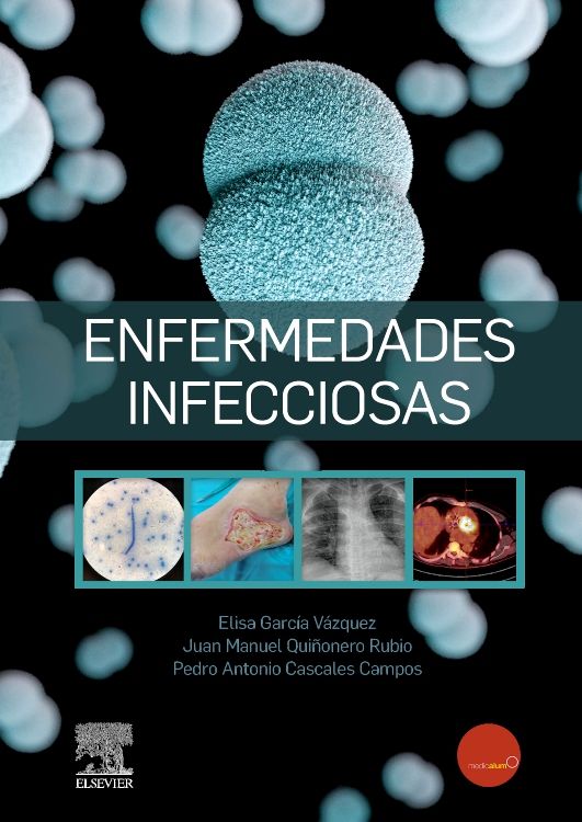 García Vázquez Elisa. Enfermedades infecciosas. 1a ed. 2023