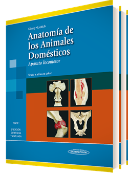Konig Horst. Erich. Anatomía de los animales domésticos 2 Volúmenes. 2a ed. 2008