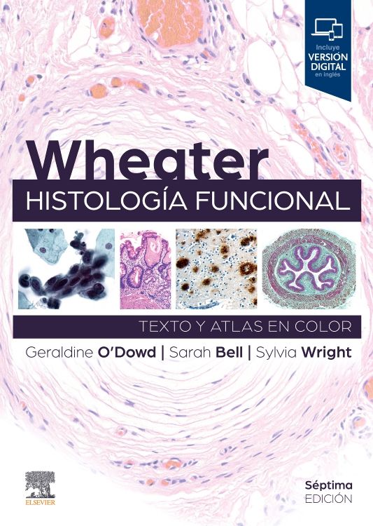 O Dowd. Geraldine. Wheater. Histología Funcional. 7a ed. 2024