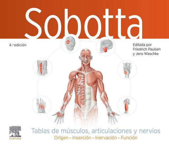 Paulsen. Friedrich. Sobotta. Tablas de Músculos, Articulaciones y Nervios. 4a. ed. 2024