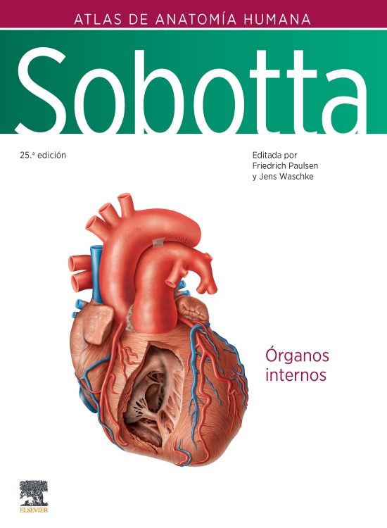 Paulsen. Friedrich. Sobotta. Atlas de Anatomía Humana. Volumen 2. 25a ed. 2024