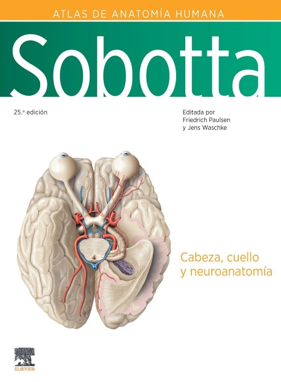 Paulsen. Friedrich. Sobotta. Atlas de Anatomía Humana. Volumen 3. 25a. ed.2024
