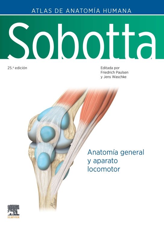 Paulsen. Friedrich. Sobotta. Atlas de Anatomía Humana. Volumen 1. 25a ed. 2024