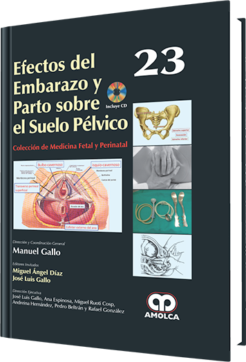 Miguel Ángel Díaz. Efectos del Embarazo y Parto sobre el Suelo Pélvico No. 23. Incluye CD.
