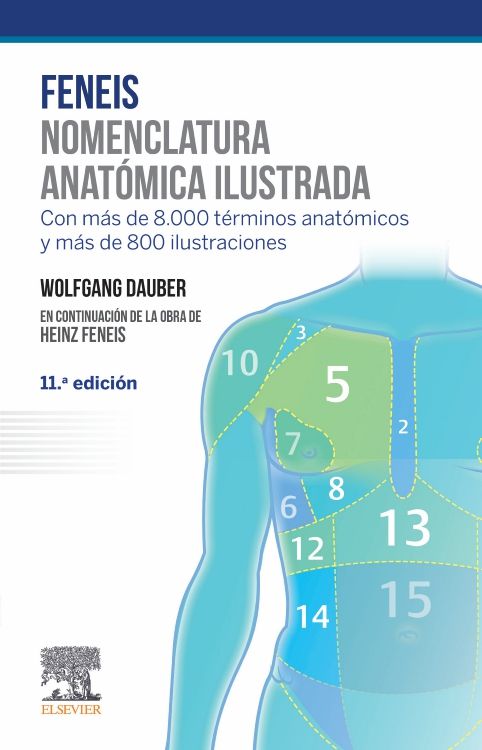 Dauber, W., Feneis. Nomenclatura anatómica ilustrada 6 ed. © 2021