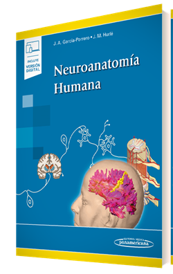 García Porrero Peréz. Juan Antonio. Neuroanatomía Humana. 1a ed. 2015