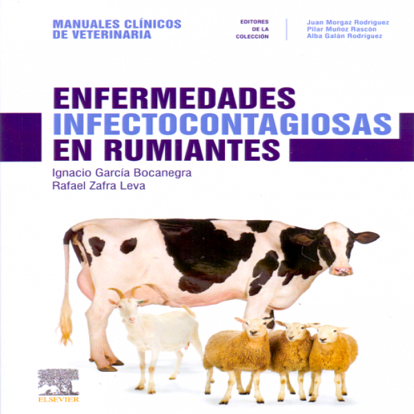 García Bocanegra Ignacio. Enfermedades infectocontagiosas en rumiantes © 2019