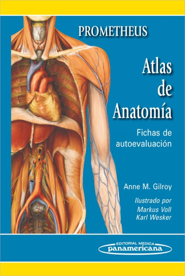 Girloy M. Anne  Prometheus. Atlas de anatomía: Fichas de autoevaluación 1a ed. 2011