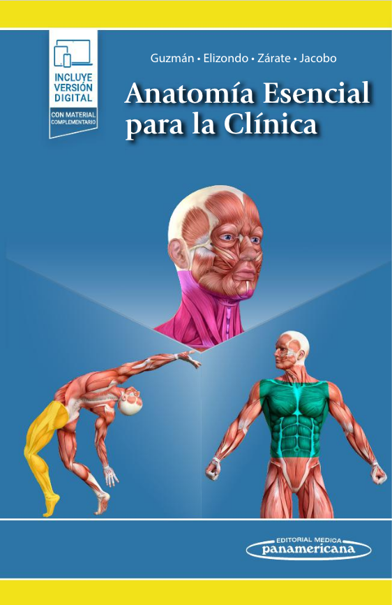 Guzmán López. Santos Anatomía esencial para la clínica1ra ed. 2022