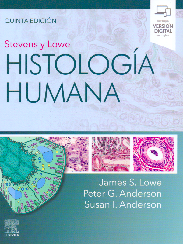 Lowe S. James. Stevens y Lowe. Histología humana. 5a. ed.2020