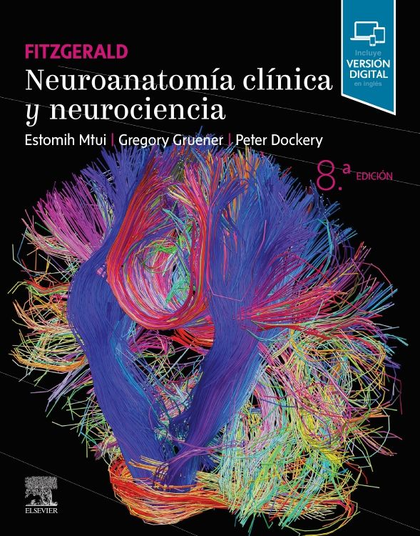 Mtui. Estomih. Fitzgerald. Neuroanatomía Clínica y Neurociencia. 8a ed. 2022