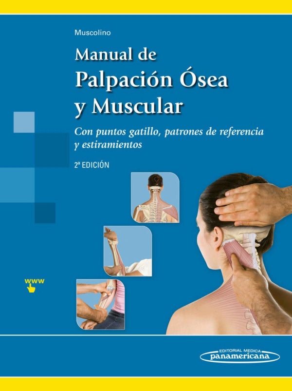 Muscolino. Manual de palpitación ósea y muscular. Con puntos gatillo, patrones de referencia y estiramiento. 1a ed. 2017