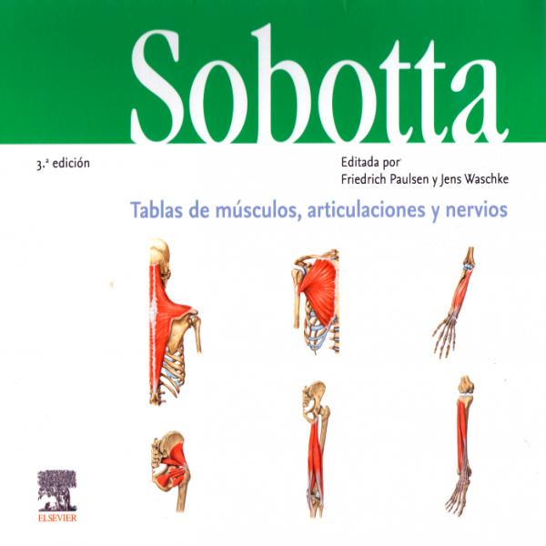 Paulsen, F., Sobotta. Tablas de músculos, articulaciones y nervios 3 ed. © 2019