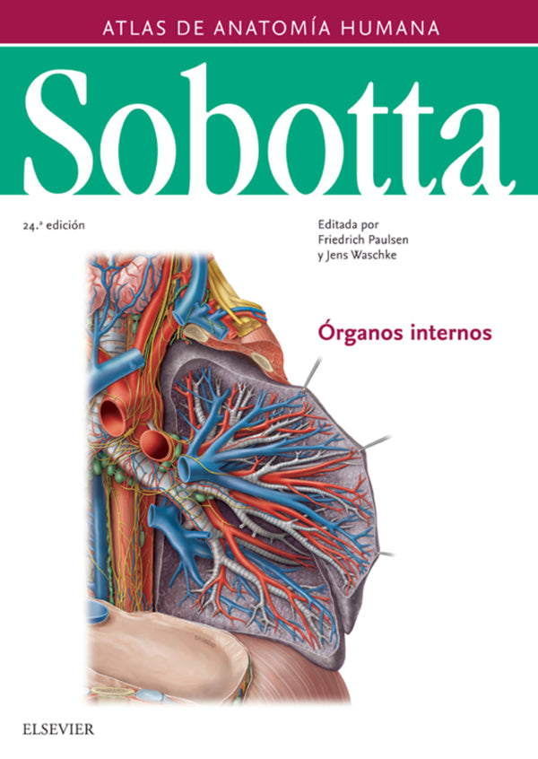 Paulsen, F., Sobotta. Atlas de anatomía humana vol 2 24 ed. © 2018 R 2019