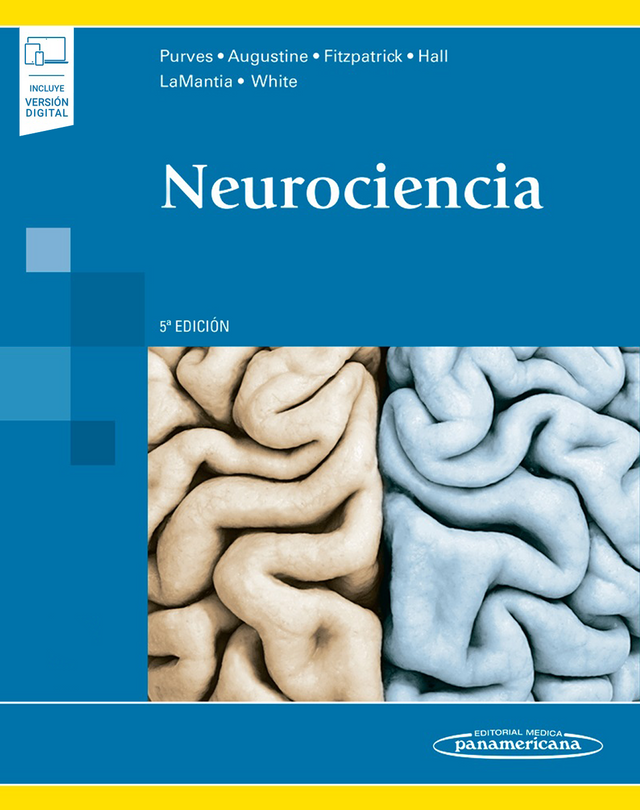 Purves. Dale. Neurociencia. 5a ed. 2016.
