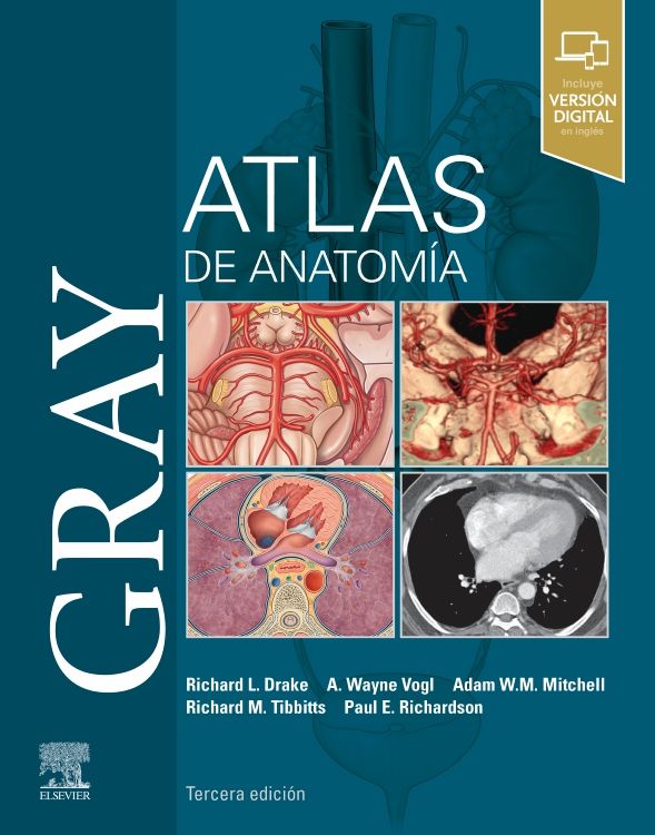Drake, R.L., Gray. Atlas de Anatomía 3 ed. © 2021