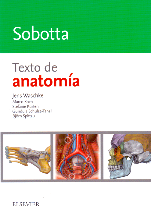 Waschke, Jens. Sobotta. Texto de anatomía 1ra ed. 2018