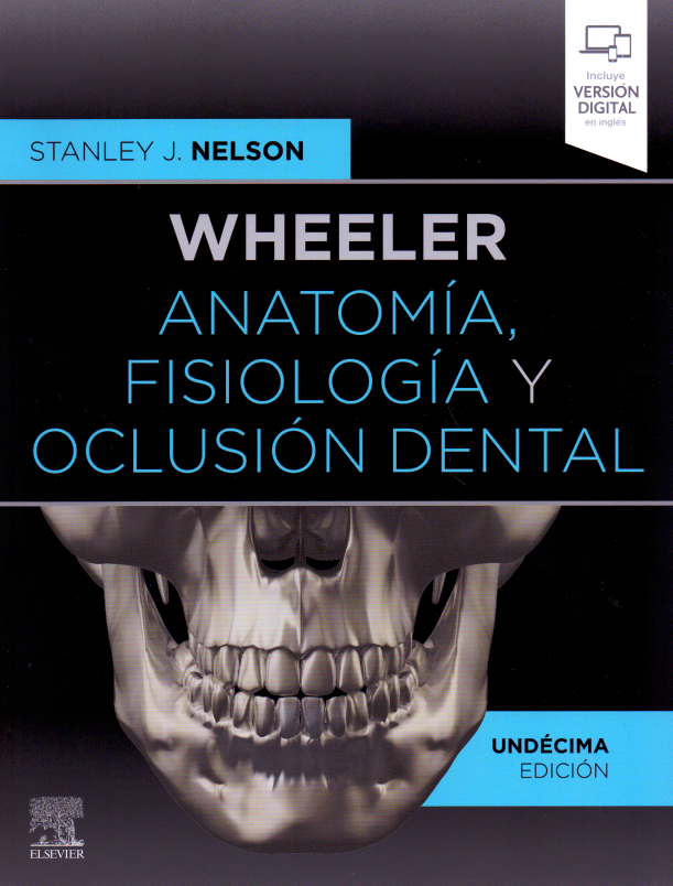 Nelson J. Stanley. Wheeler. Anatomía, fisiología y oclusión dental. 11a ed. 2021