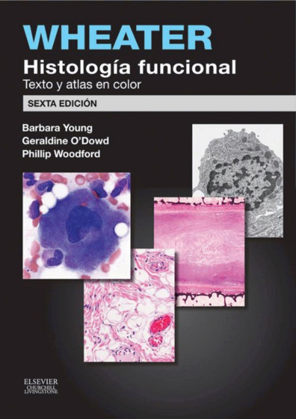 Young, B., Wheater. Histología funcional 6 ed. © 2014 R 2020